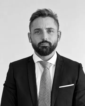 Nicolas Santini, Expert-comptable